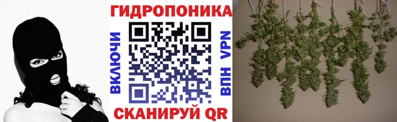 купить наркоту  Харовск  Бошки Шишки гибрид 